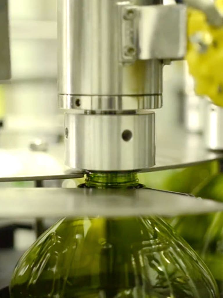 Aceite de oliva producción para exportación