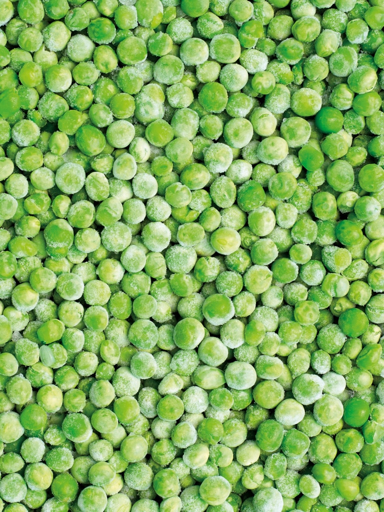 Fabricante de guisantes congelados al por mayor