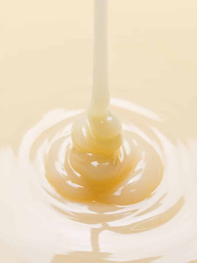 Procédés de fabrication du lait concentré