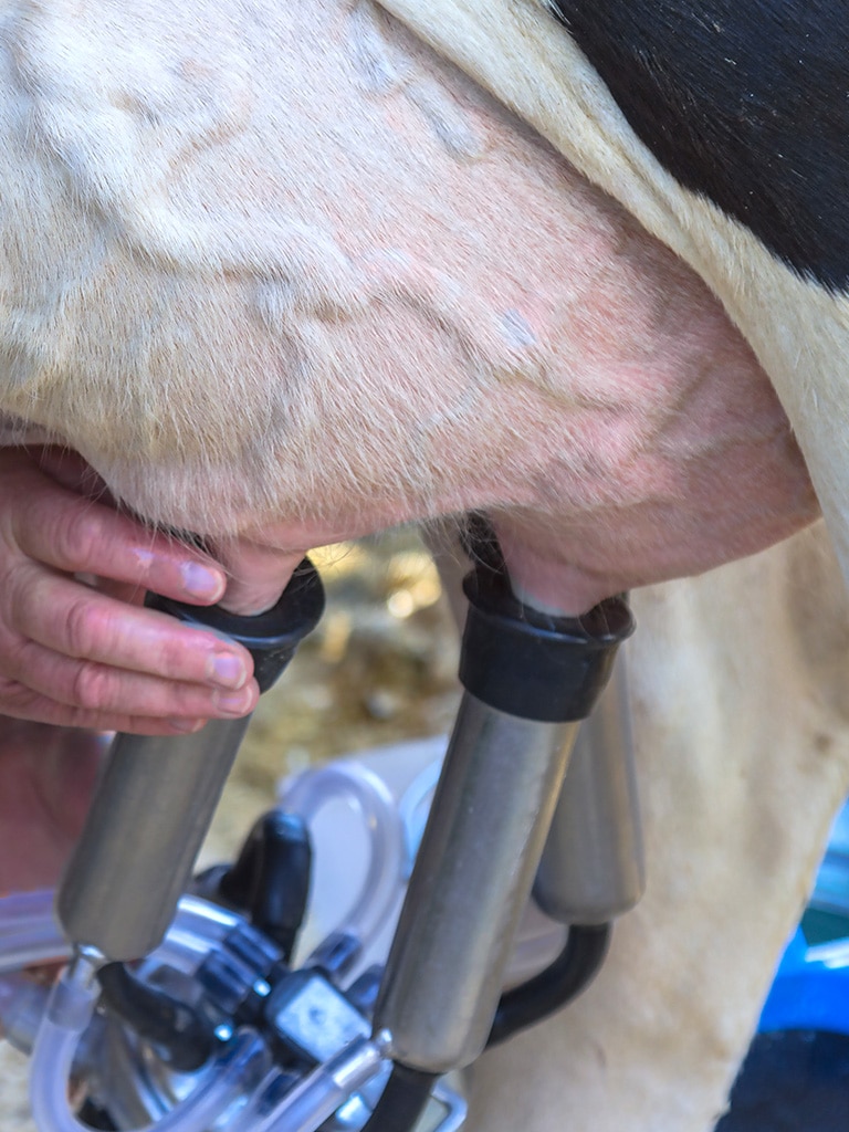 leche-cruda-granel-02
