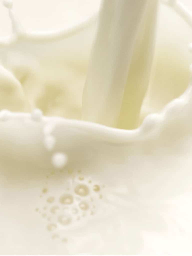 leche-cruda-granel
