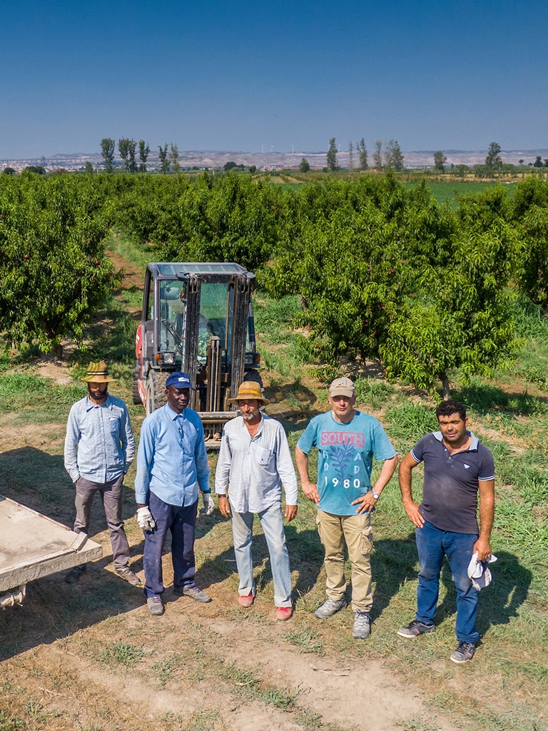 Todo comienza en el campo Originia Foods